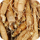Eleuthero Root