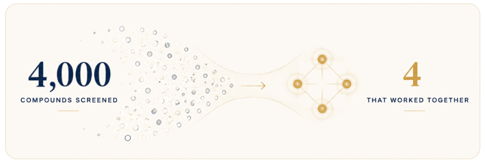 4,000 compounds screened to find 4 that worked together