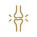 Joints benefit icon