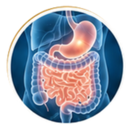 Digestive discomfort