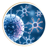 Weak immunity