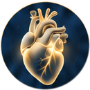 Heart & Metabolism