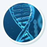 Poor DNA Repair